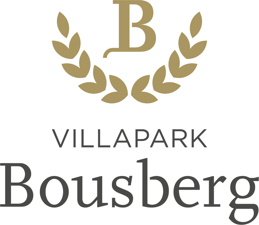 Bousberg logo kleur